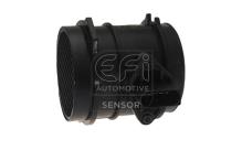 EFI AUTOMOTIVE 305049