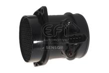 EFI AUTOMOTIVE 305055