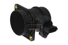 EFI AUTOMOTIVE 305064