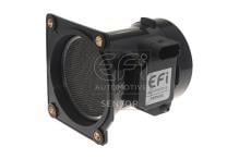 EFI AUTOMOTIVE 305065