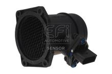 EFI AUTOMOTIVE 305067