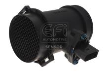 EFI AUTOMOTIVE 305068