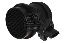 EFI AUTOMOTIVE 305071