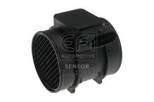 EFI AUTOMOTIVE 305075