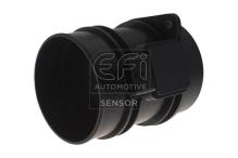 EFI AUTOMOTIVE 305089