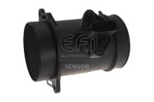 EFI AUTOMOTIVE 305095