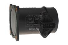 EFI AUTOMOTIVE 305100