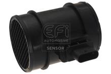 EFI AUTOMOTIVE 305101