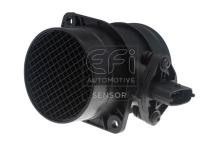 EFI AUTOMOTIVE 305102