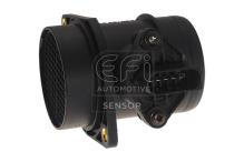 EFI AUTOMOTIVE 305115