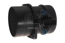 EFI AUTOMOTIVE 305118