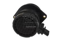EFI AUTOMOTIVE 305121