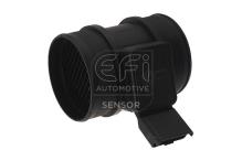 EFI AUTOMOTIVE 305123