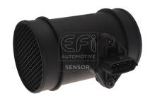 EFI AUTOMOTIVE 305139