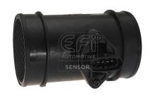 EFI AUTOMOTIVE 305149