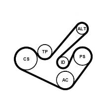 CONTITECH 6PK1555K9