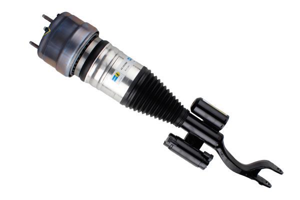 Butée hydraulique Coupé