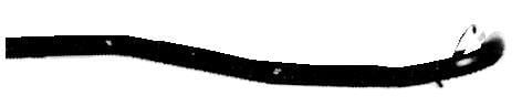 Tubo de escape IMASAF S.P.A ref. 21.60.04