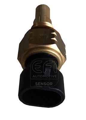 Sonde de température, liquide de refroidissement EFI AUTOMOTIVE 295066