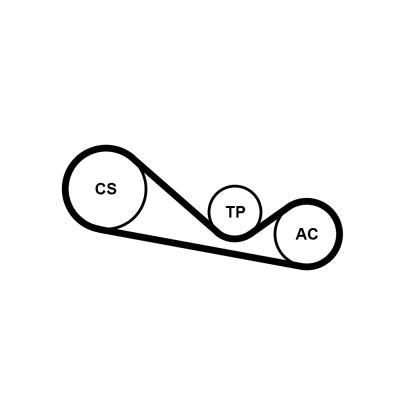 Juego de correas auxiliares servicios CONTITECH ref. 4PK1237K1