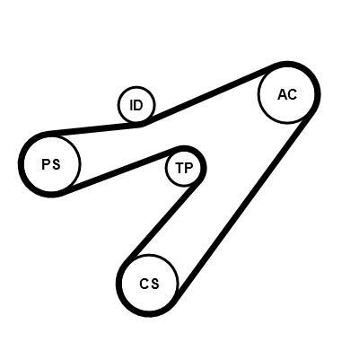 Kit de courroie d'accessoire (Courroie d’alternateur) CONTITECH ref. 4PK1538K1