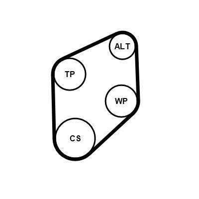 Kit de correias trapezoidais estriadas CONTITECH ref. 4PK800K1