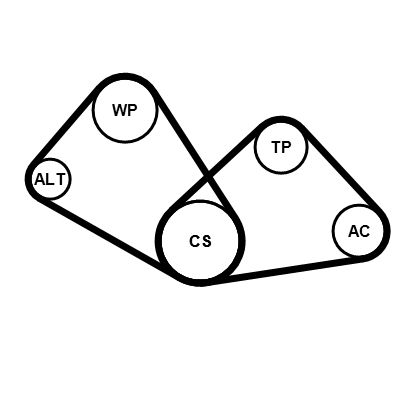 Kit de courroie d'accessoire (Courroie d’alternateur) CONTITECH 4PK805K1