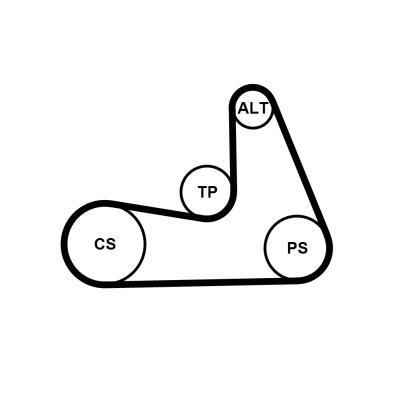 Kit de correias trapezoidais estriadas CONTITECH ref. 5PK1121 EXTRA K1