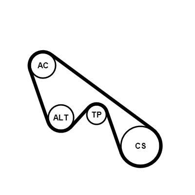 Kit de correias trapezoidais estriadas CONTITECH ref. 5PK1150K1