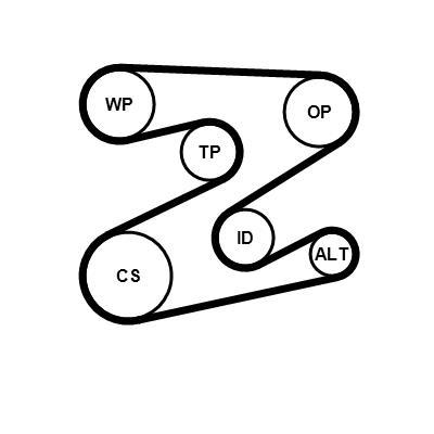 Kit de correias trapezoidais estriadas CONTITECH ref. 5PK2030K1