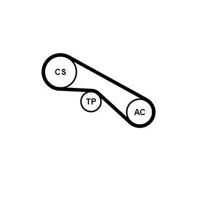 Kit de correias trapezoidais estriadas CONTITECH ref. 5PK875K1
