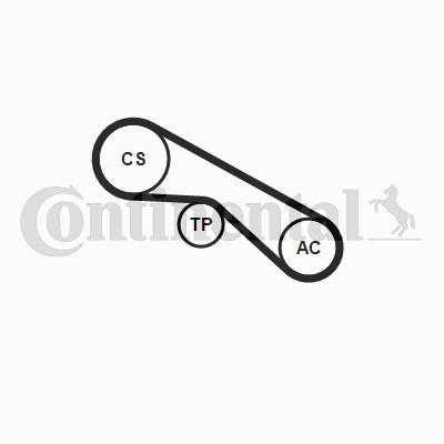 Kit de courroie d'accessoire (Courroie d’alternateur) CONTITECH 5PK884K1