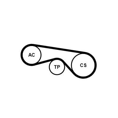 Kit de correias trapezoidais estriadas CONTITECH ref. 5PK906K2