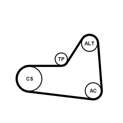 Kit de correias trapezoidais estriadas CONTITECH ref. 6PK1070K1