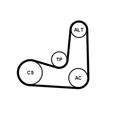 Kit de correias trapezoidais estriadas CONTITECH ref. 6PK1070K5