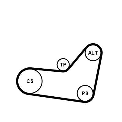Kit de correias trapezoidais estriadas CONTITECH ref. 6PK1080K2