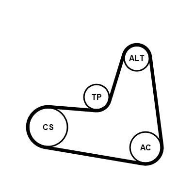 Kit de correias trapezoidais estriadas CONTITECH ref. 6PK1120K2