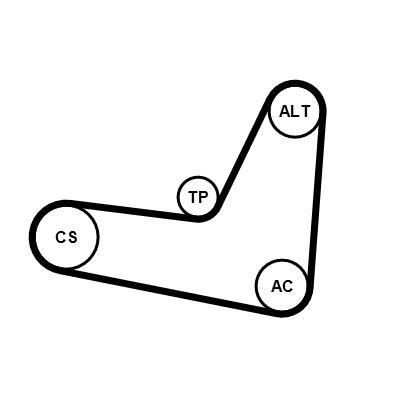 Kit de correias trapezoidais estriadas CONTITECH ref. 6PK1130K3