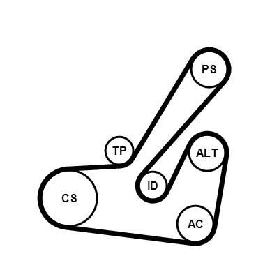 Kit de correias trapezoidais estriadas CONTITECH ref. 6PK1145K2