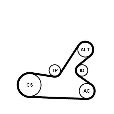 Kit de correias trapezoidais estriadas CONTITECH ref. 6PK1145K4