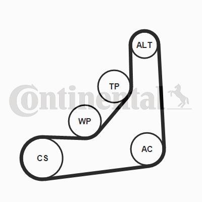 Kit de courroie d'accessoire (Courroie d’alternateur) CONTITECH 6PK1165K1