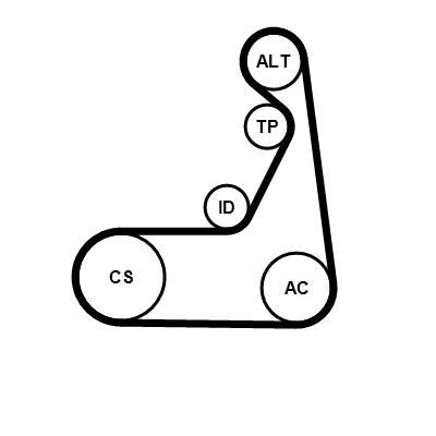 Kit de correias trapezoidais estriadas CONTITECH ref. 6PK1173K1
