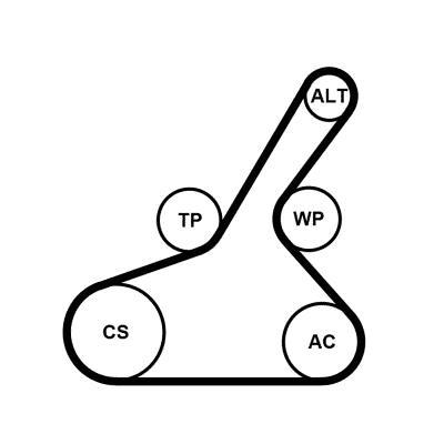 Kit de courroie d'accessoire (Courroie d’alternateur) CONTITECH 6PK1190K1