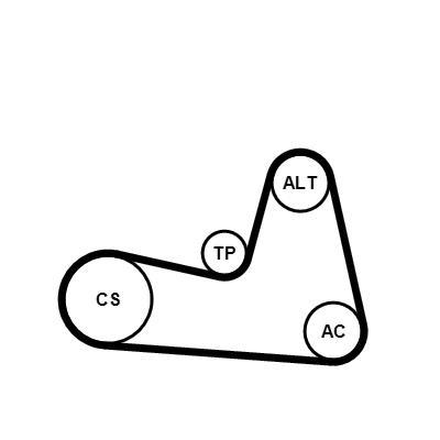 Kit de correias trapezoidais estriadas CONTITECH ref. 6PK1200K2