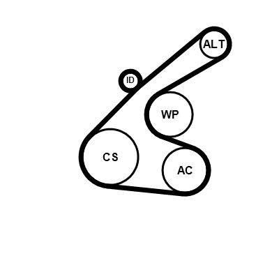 Kit de courroie d'accessoire (Courroie d’alternateur) CONTITECH 6PK1256K1