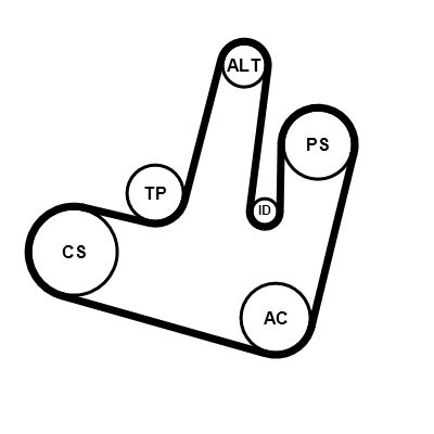 Kit de courroie d'accessoire (Courroie d’alternateur) CONTITECH 6PK1264K1