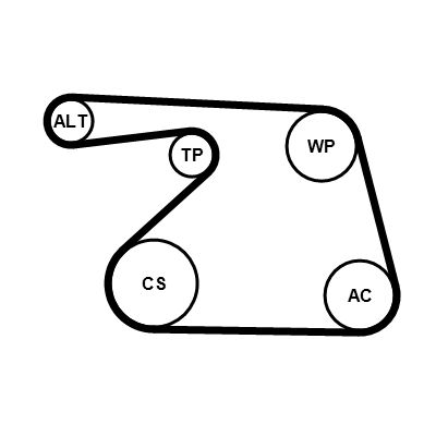 Kit de courroie d'accessoire (Courroie d’alternateur) CONTITECH 6PK1325K1