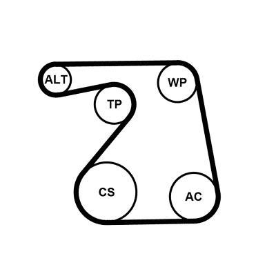 Kit de courroie d'accessoire (Courroie d’alternateur) CONTITECH ref. 6PK1360K1