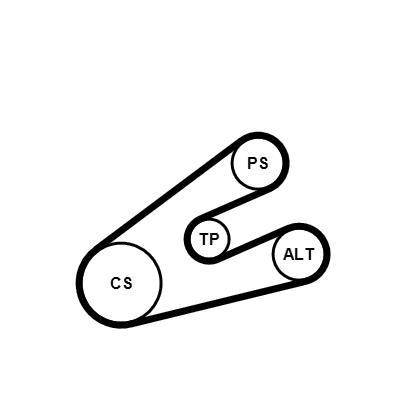 Kit de correias trapezoidais estriadas CONTITECH ref. 6PK1453K1