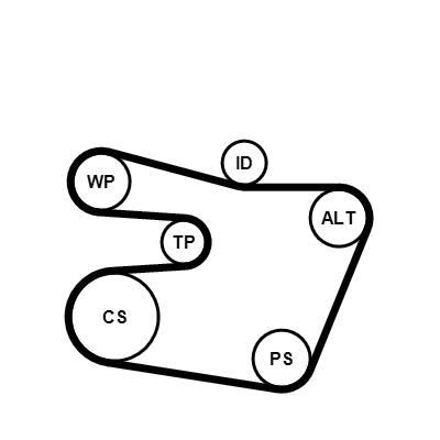 Kit de correias trapezoidais estriadas CONTITECH ref. 6PK1538K1